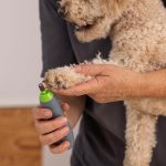 CORDLESS NAIL GRINDER 2302-0050 - Image 3