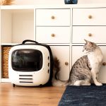 Pumba 1800 Travel Fan Θήκη Μεταφοράς Κατοικιδίων Cecotec Με Ενσωματωμένο Ανεμιστήρα & Φωτισμό Λευκό - Image 4