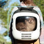 Pumba 1800 Travel Fan Θήκη Μεταφοράς Κατοικιδίων Cecotec Με Ενσωματωμένο Ανεμιστήρα & Φωτισμό Λευκό - Image 5