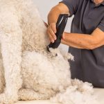 WAHL MaxGo 1263‑0472 – Επαναφορτιζόμενη Κουρευτική Μηχανή Κατοικιδίων 2 Ταχυτήτων με Λεπίδα Ακριβείας - Image 3