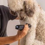 WAHL MaxGo 1263‑0472 – Επαναφορτιζόμενη Κουρευτική Μηχανή Κατοικιδίων 2 Ταχυτήτων με Λεπίδα Ακριβείας - Image 4