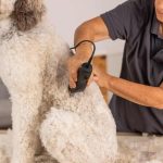 Wahl MAX50+ 1251‑0470 – Επαγγελματική Κουρευτική Μηχανή Ρεύματος για Κατοικίδια με Brushless Μοτέρ 2 Ταχυτήτων - Image 4