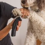 Wahl ARCO PRO 1876‑0472 – Επαναφορτιζόμενη Κουρευτική Μηχανή Κατοικιδίων με Fine Blade 5‑σε‑1 & Διπλή Μπαταρία - Image 5