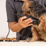 WAHL 1400 Pet Clipper – Επαγγελματική Κουρευτική Μηχανή Ρεύματος για Κατοικίδια - Image 4