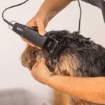 WAHL 1400 Pet Clipper – Επαγγελματική Κουρευτική Μηχανή Ρεύματος για Κατοικίδια - Image 5