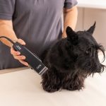 Wahl Rex 1230‑0477 Μαύρη Κουρευτική Μηχανή Κατοικιδίων - Image 4
