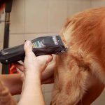 WAHL Colour Pro – Επαναφορτιζόμενη Κουρευτική Μηχανή 6.000 rpm με Αυτοακονιζόμενες Λεπίδες & Colour‑Coded Guides - Image 3
