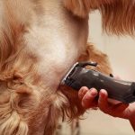 WAHL Colour Pro – Επαναφορτιζόμενη Κουρευτική Μηχανή 6.000 rpm με Αυτοακονιζόμενες Λεπίδες & Colour‑Coded Guides - Image 4